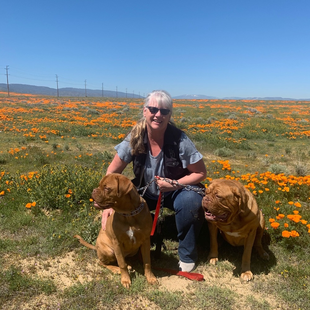Meet your Posher, Donna VanHooser